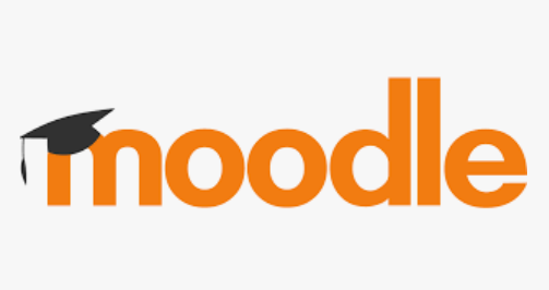 Moodle Practice Course for Professors